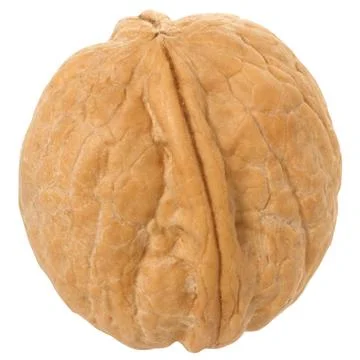 Walnut close up Stock Photos