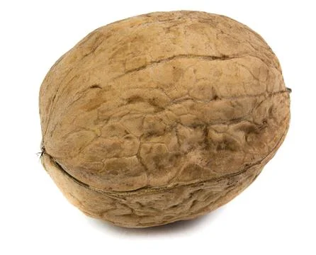 Walnut close-up on a white background Stock Photos