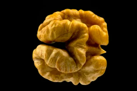 Walnut closeup on a black background Stock Photos