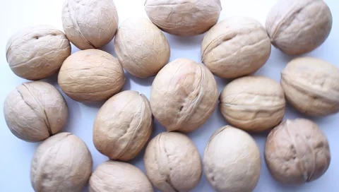 Walnut closeup, on a light background Stockbeeldmateriaal 92205920