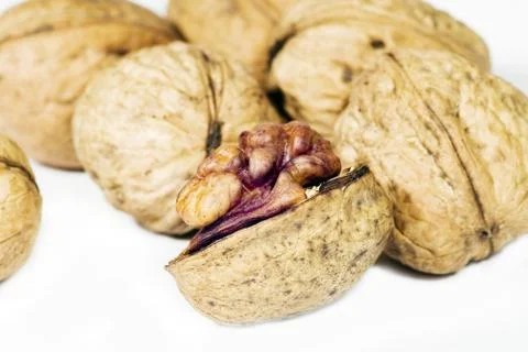 Walnut in closeup Stock Photos