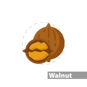 Walnut color icon. isolated vector illustration Stock Illustration