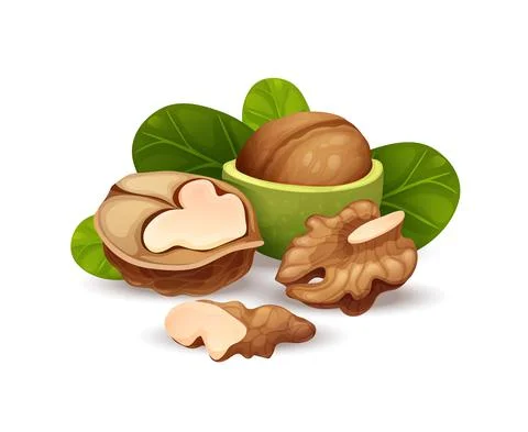 Walnut composition, good for label and sticker Illustrazione stock