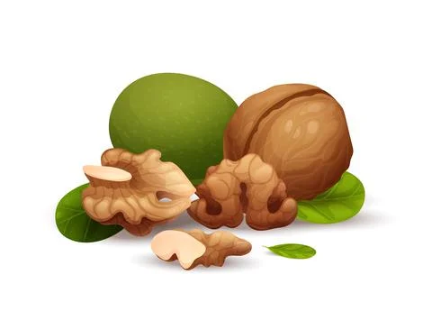 Walnut composition, good for label and sticker Stock Illustration