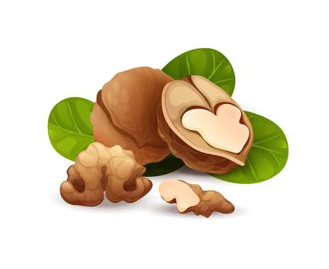 Walnut composition, good for label and sticker Stock Illustration