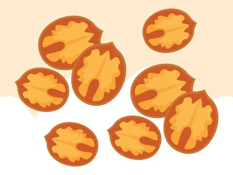 Walnut Concept Illustration Style Stock Illustration