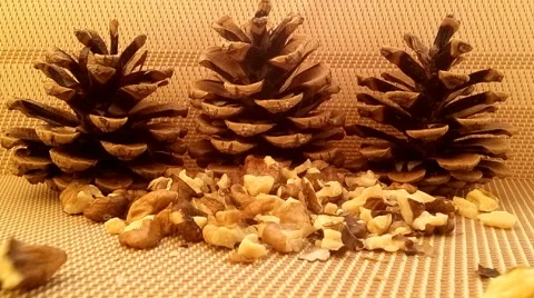 Walnut with cones Stock Footage 58754289