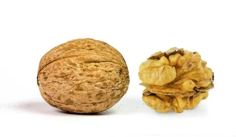 Walnut core isolated in white  background Stock Photos