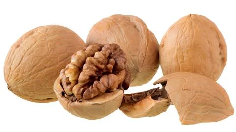 Walnut crack close up isolated Stock Photos