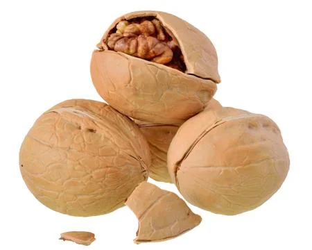 Walnut crack close up isolated Stock Photos