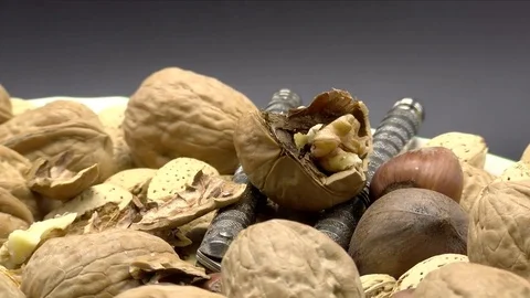 Walnut Crushed in Shell Nutcracker Rotating Isolated on Black, 4K Stock Footage 70126924