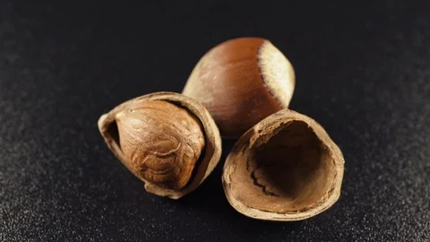 Walnut on dark background Stock Footage 102308142