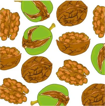 Walnut decorative pattern on white background is insulated Stock Illustration