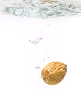 Walnut falling into water - studio isolated. Stock Photos