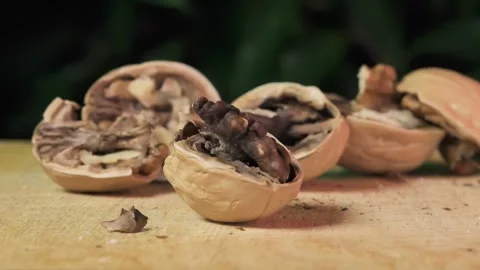 Walnut falls on the table and splits into pieces, split walnut, Slow motion Stock Footage 264877198
