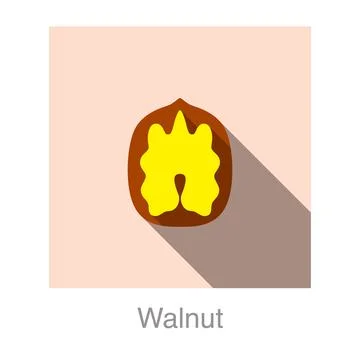 Walnut flat icon, vector illustration Stock Illustration