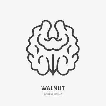 Walnut flat line icon. Vector thin sign of nut, healthy food outline Illustrazione stock