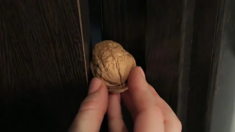 WALNUT Stock Footage 155075139