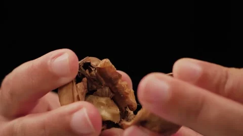 Walnut Stock-Footage 202655636
