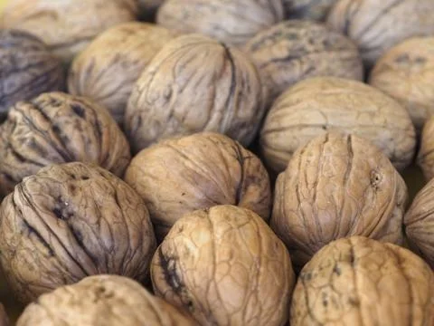 Walnut fruit food background Stock Photos
