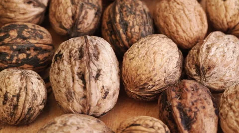 Walnut fruits on rotating stand; closeup Stock Footage 50973530