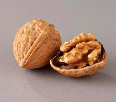 Walnut on grey background Stock Photos
