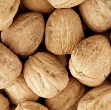 Walnut group close up , background Stock Photos