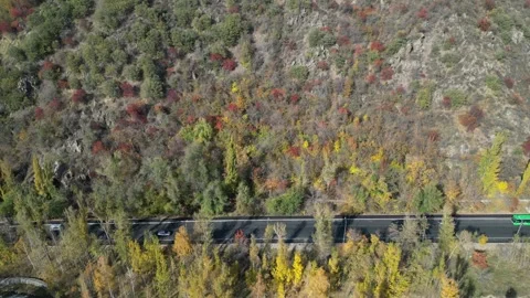 Walnut Grove near Medeo, Almaty, Kazakhstan Stock Footage 342331253