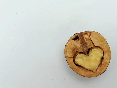 Walnut Half with Heart Shaped Kernel Isolated on White Background Stock Photos