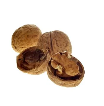 Walnut with half shell isolated on white background healthy food Stock Photos