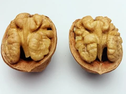 Walnut halves isolated on white background Stock Photos