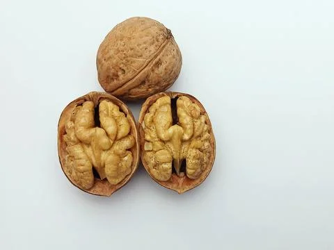 Walnut halves in shell isolated on white Stock Photos