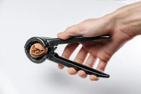 Walnut in hand Stock Photos