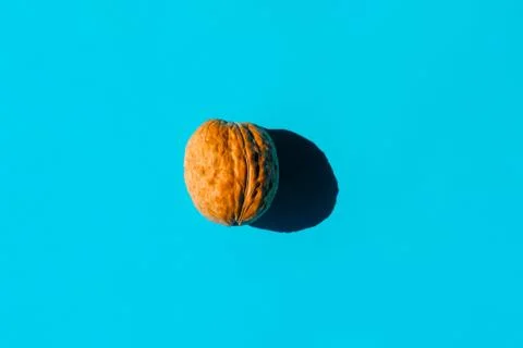 Walnut with a hard shadow on a plain background. the view from the top. blank Photos