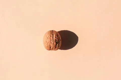 Walnut with a hard shadow on a plain background. the view from the top. blank Photos