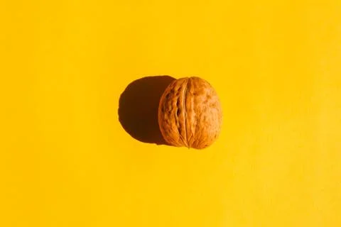 Walnut with a hard shadow on a plain background. the view from the top. blank Stock Photos