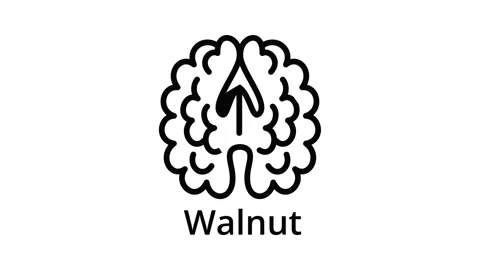Walnut icon animation Stock Footage 152643255