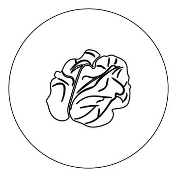 Walnut icon black color in circle vector illustration isolated Illustrazione stock