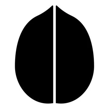 Walnut icon black color vector illustration image flat style Stock Illustration
