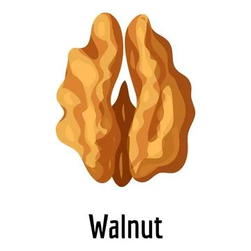 Walnut icon, cartoon style Stock Illustration