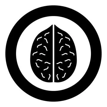 Walnut icon in circle round black color vector illustration image solid outli Illustrazione stock
