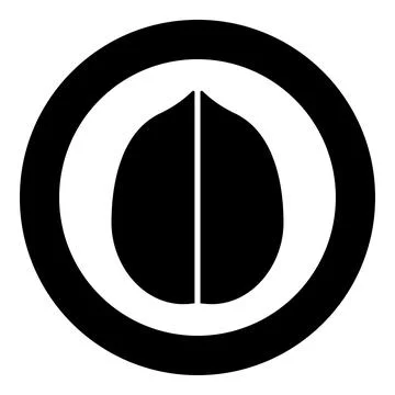 Walnut icon in circle round black color vector illustration image solid out.. Illustrazione stock
