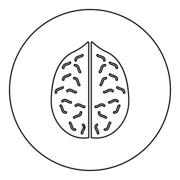 Walnut icon in circle round black color vector illustration image outline c.. Stock Illustration