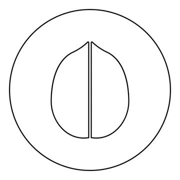 Walnut icon in circle round black color vector illustration image outline c.. Stock Illustration