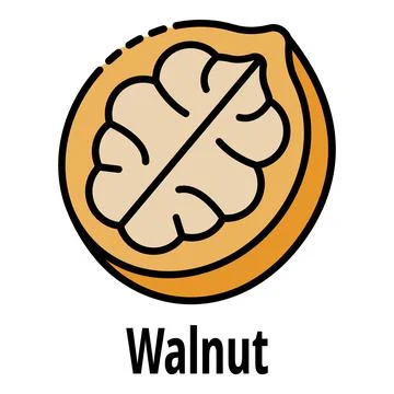 Walnut icon color outline vector Illustrazione stock