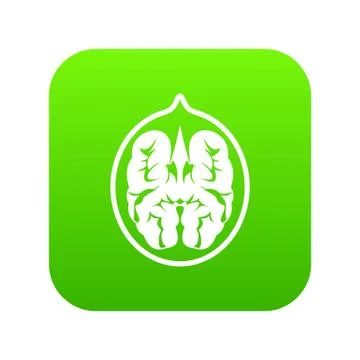 Walnut icon digital green イラスト素材