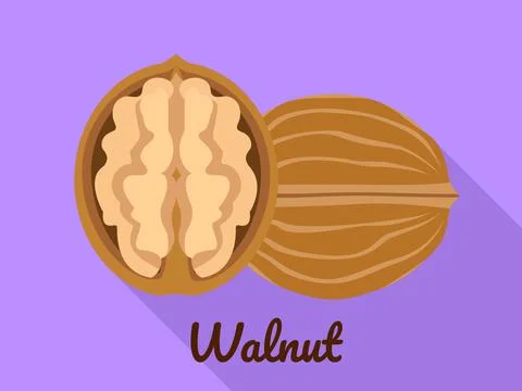 Walnut icon, flat style Stock Illustration