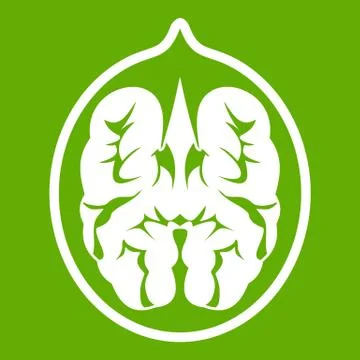 Walnut icon green イラスト素材