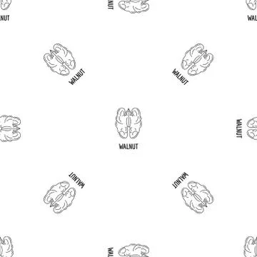 Walnut icon, outline style Stock Illustration
