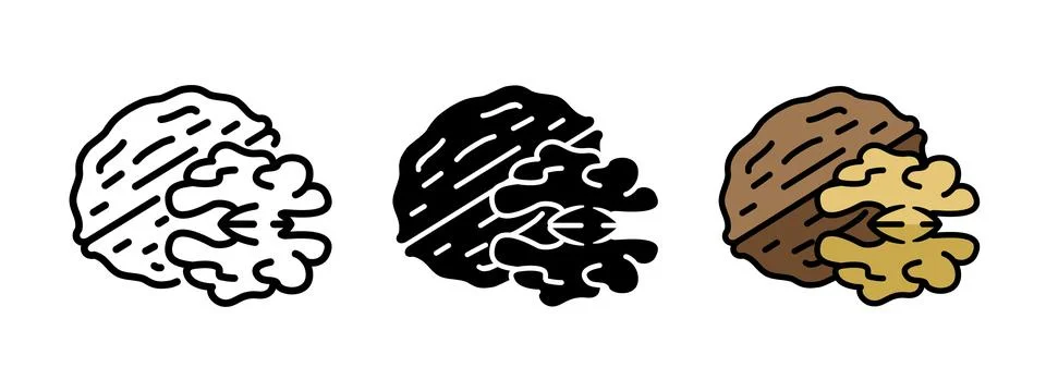 Walnut icon. Walnut seed vector illustration. Raw nutshell with kernel symb.. Stock Illustration